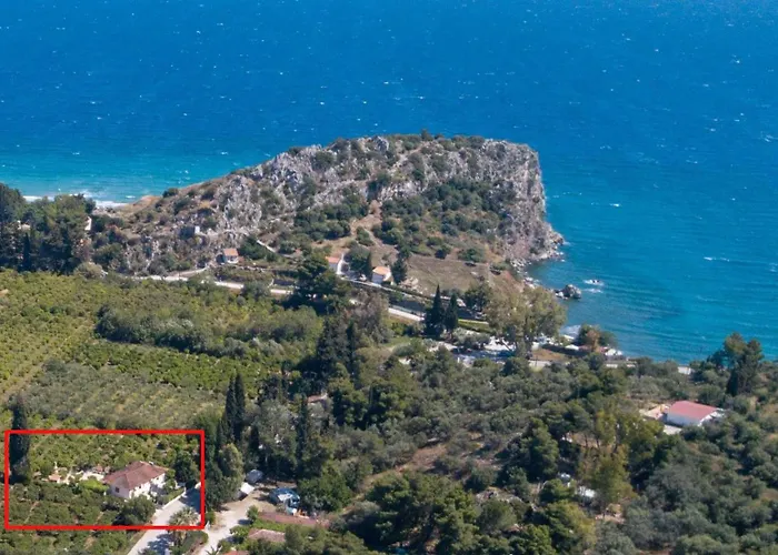 Aristofanis 4 *