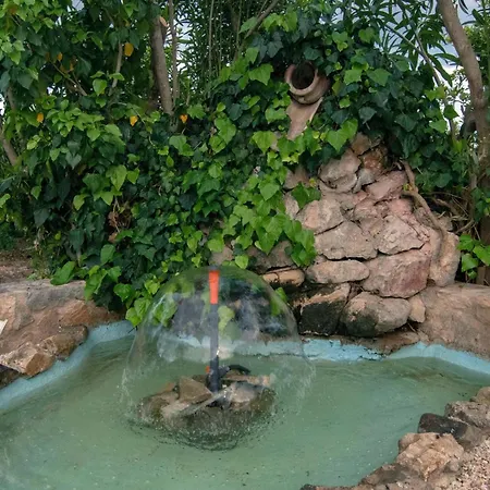 Aristofanis 4 Tolón